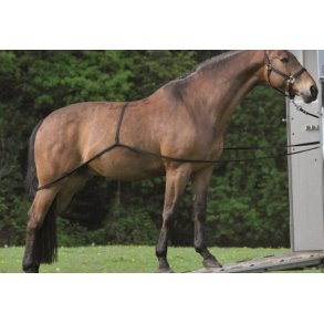 L�sse hj�lper til trailer fra QHP 