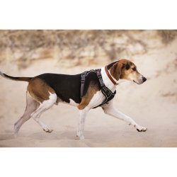 Hundesele fra LeMieux med mesh "Winchester" sort