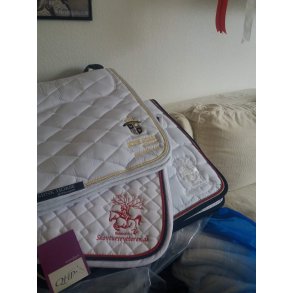 Stvne udstyr til hesten