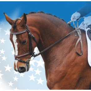 Trenser & Pandebnd & Hut & Fortj