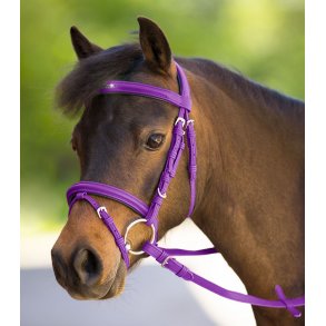 Trenser & Bid & Pandebnd & Tilbehr